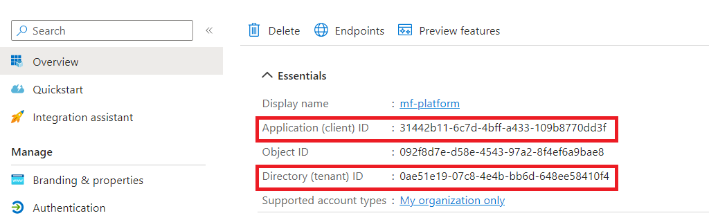 Screenshot of Client and Tenant IDs, opened in the browser.